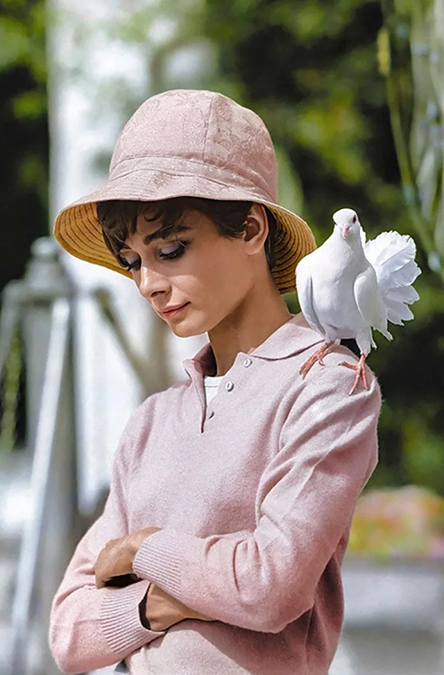 AUDREY HEPBURN